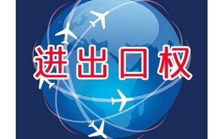 上海外貿(mào)公司如何辦理進(jìn)出口權(quán)資質(zhì)申請(qǐng)與廣告設(shè)計(jì)業(yè)務(wù)拓展